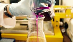 Réviser la SVT et la physique chimie