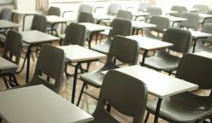 Les spécialités du bac 