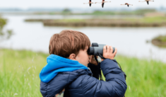 Sortie Nature : les oiseaux d’eau à la jumelle!